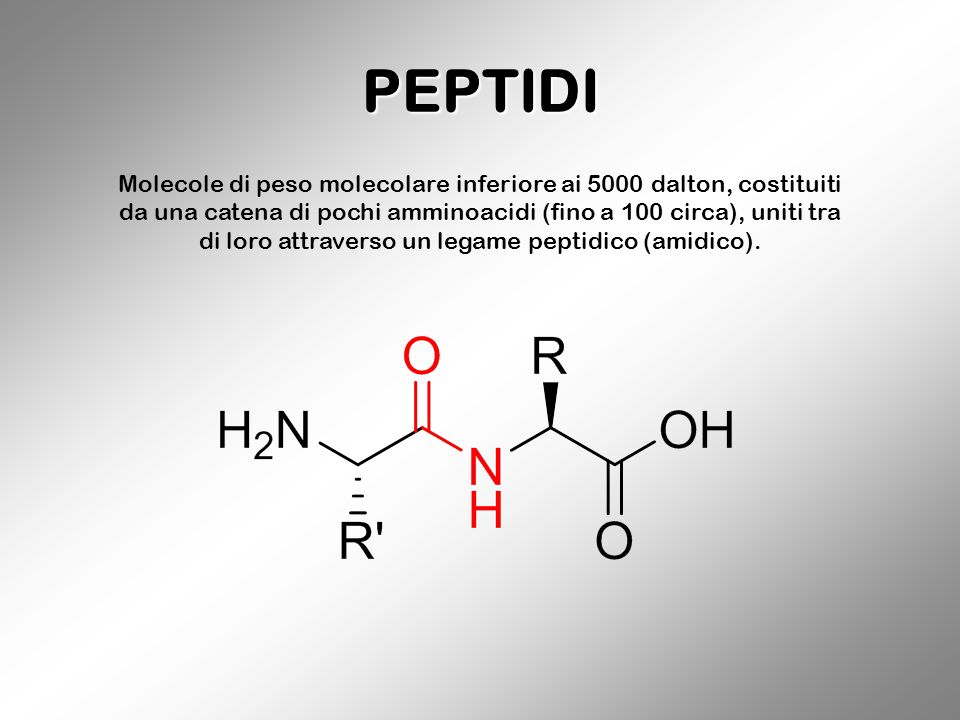 struttura peptidi