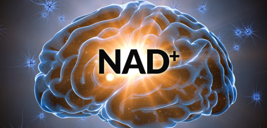 NAD+ e PEPTIDE THERAPY